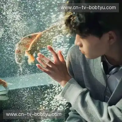 符弛照